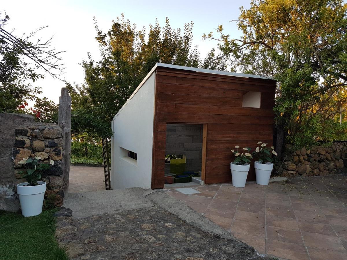 Finca Los Ciruelos Casas Rurales Icod De Los Vinos Exterior photo